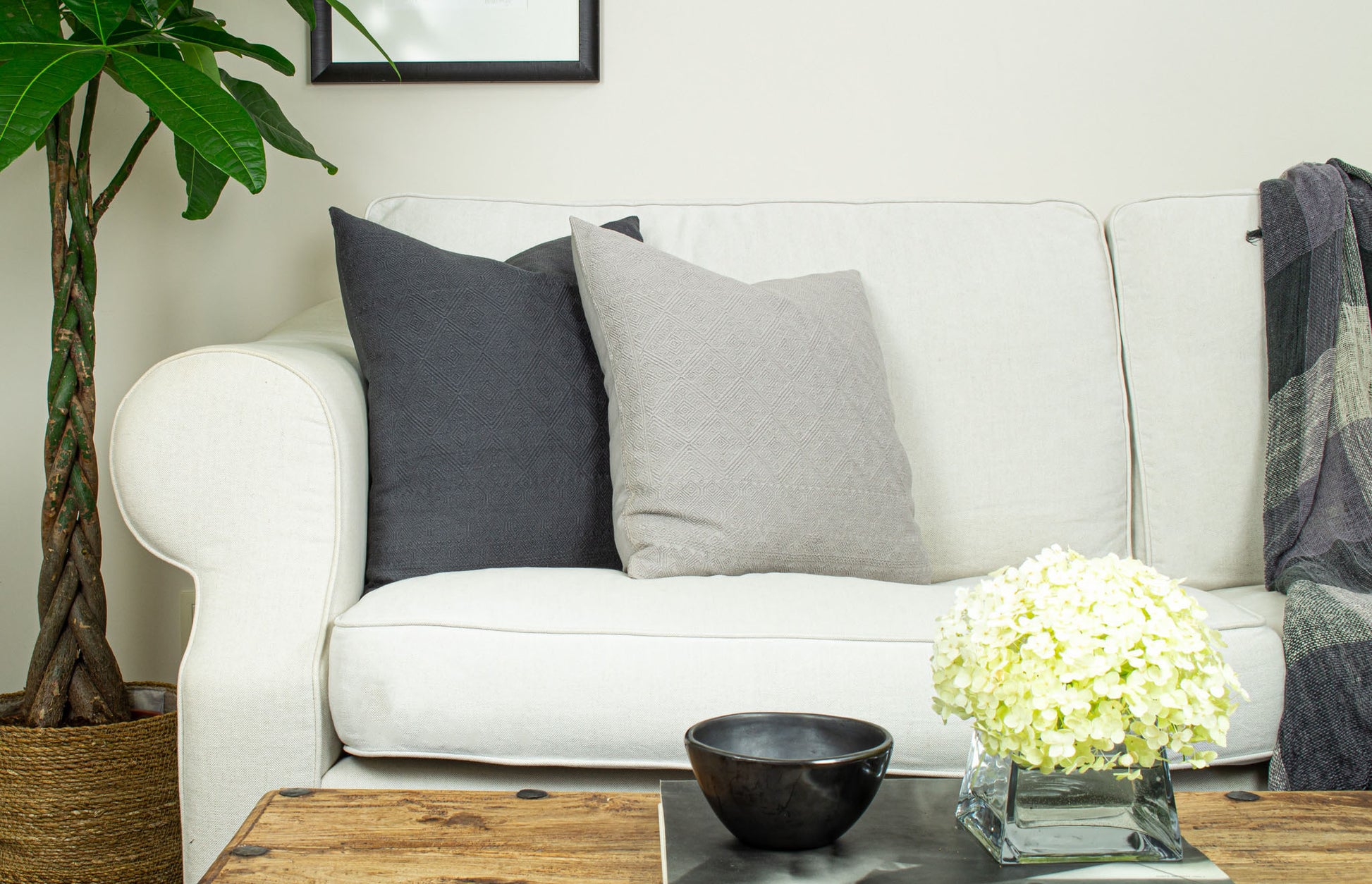 Isabella's Solid Elegance Single Color Cushion Elevating Living Room Decor.